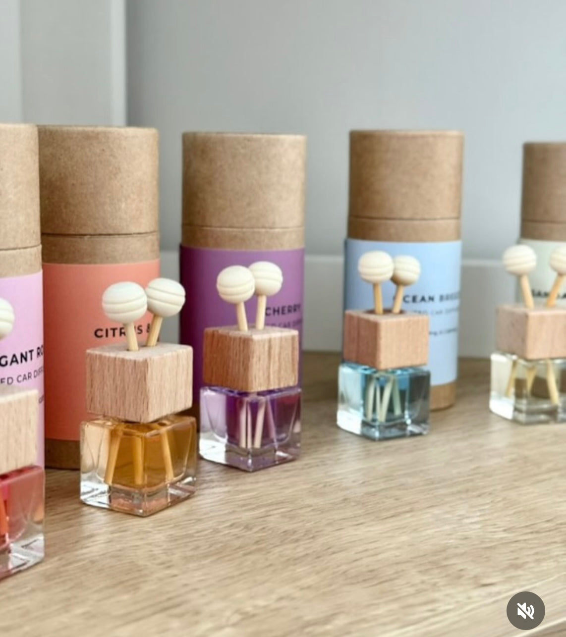 Car Diffusers