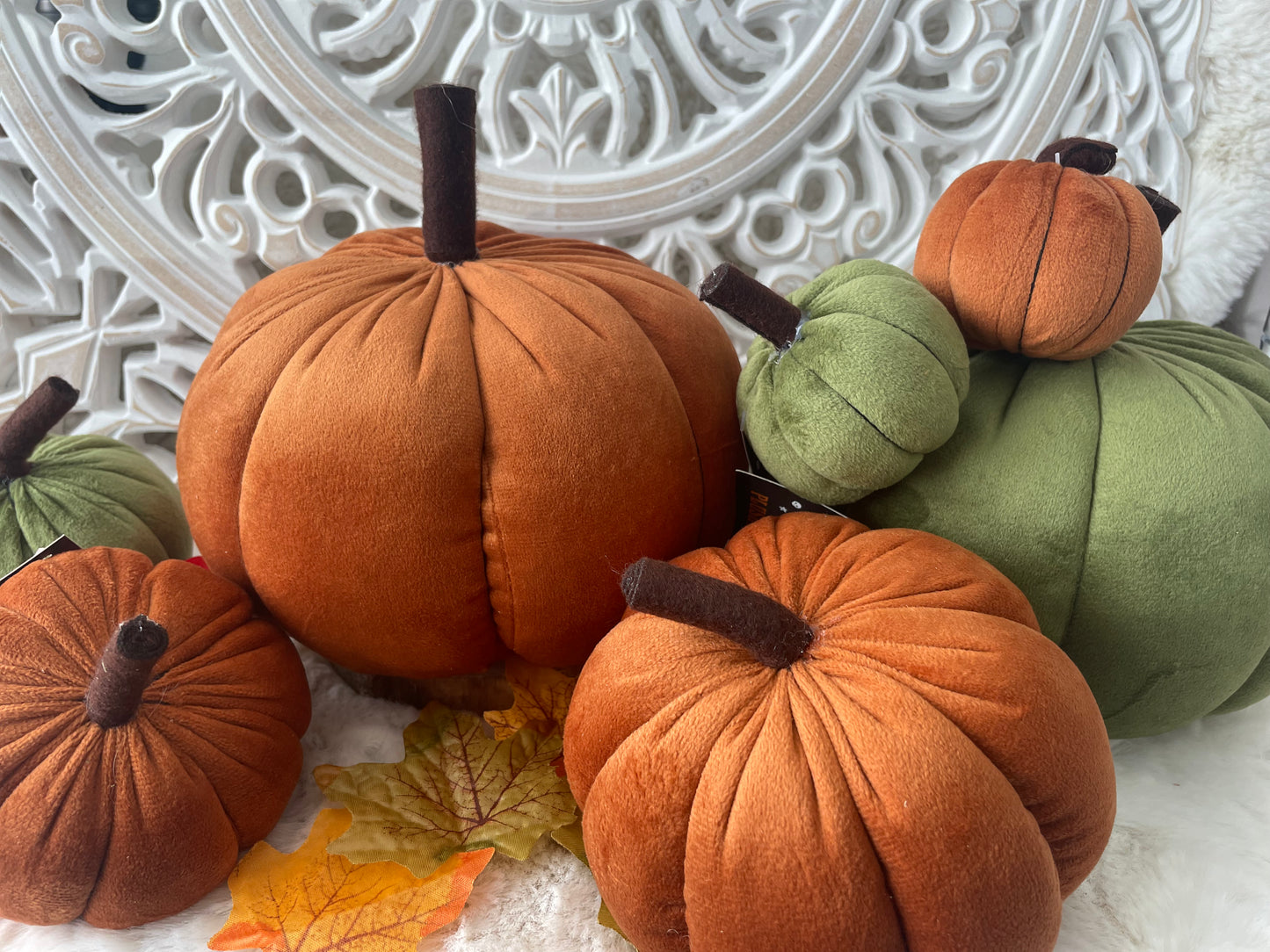 Posh Pumpkins!