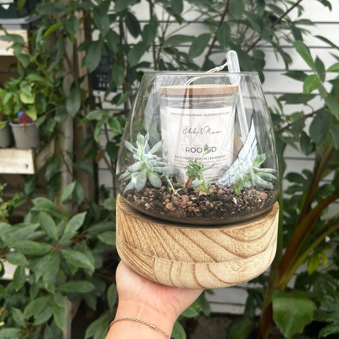 Terrarium and Candle Workshop