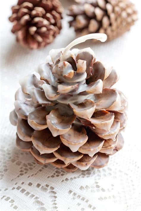 Make a Pinecone Firestarter Workshop Sunday 11th October 2 till 4pm