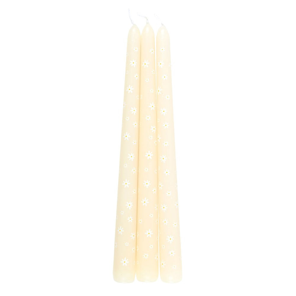 Carrot Patch Daisy Taper Candles - Set of 3