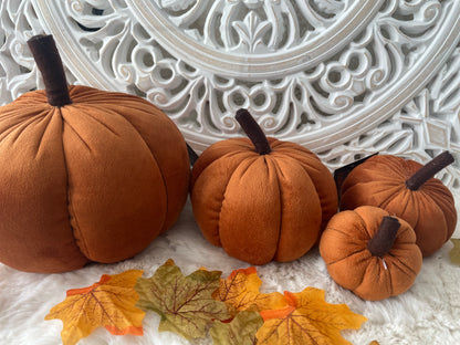 Posh Pumpkins!
