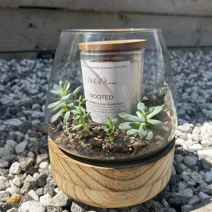Terrarium and Candle Workshop