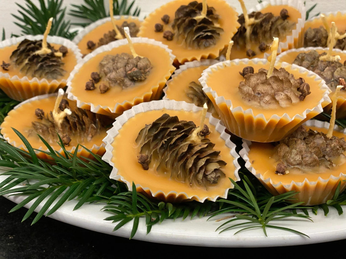 Make a Pinecone Firestarter Workshop Sunday 11th October 2 till 4pm