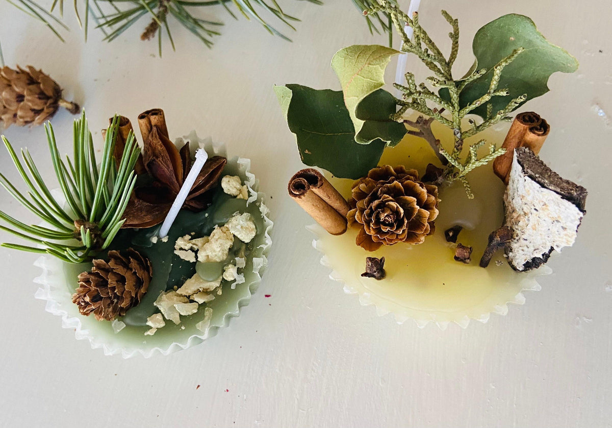 Make a Pinecone Firestarter Workshop Sunday 11th October 2 till 4pm
