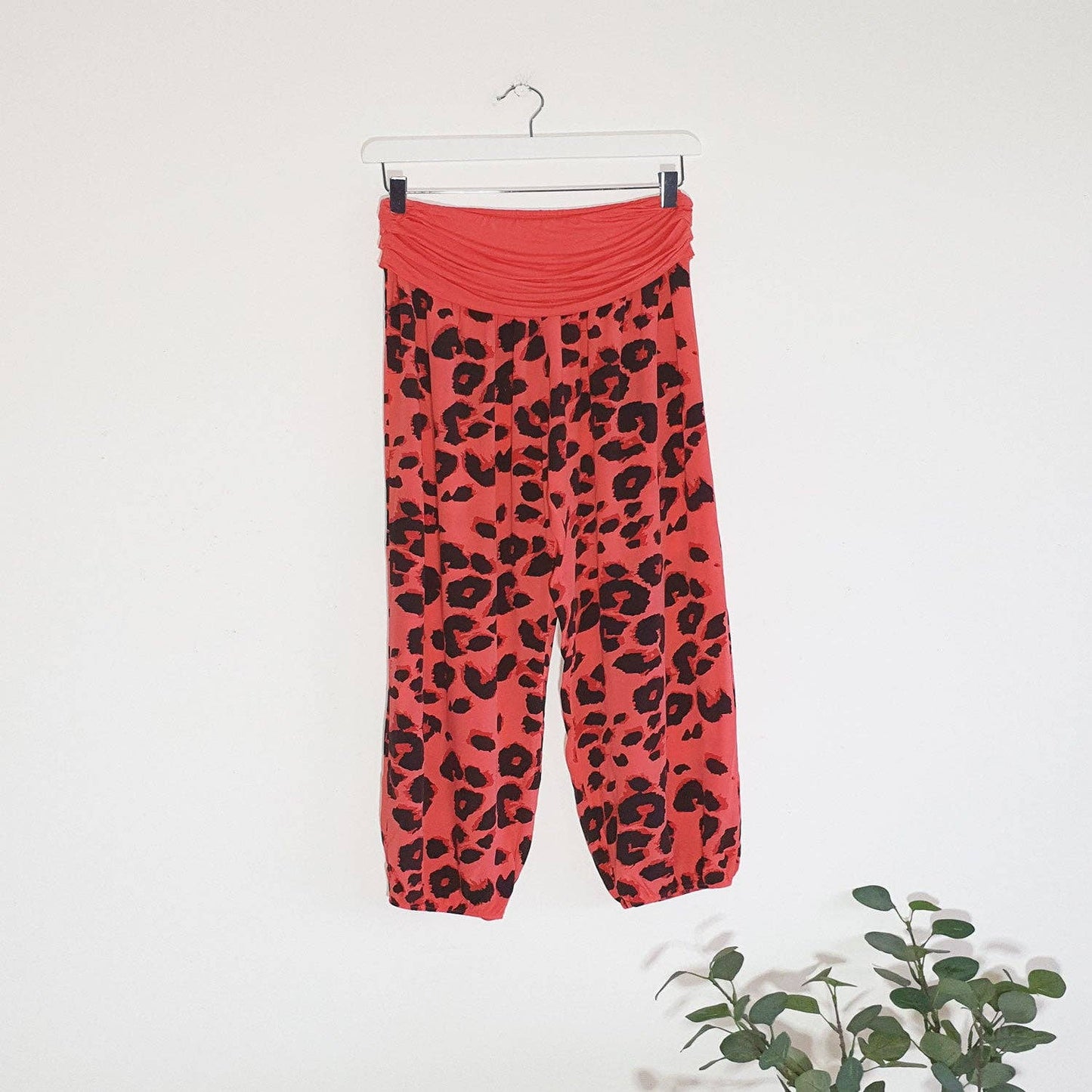 Leopard print hareem style pants